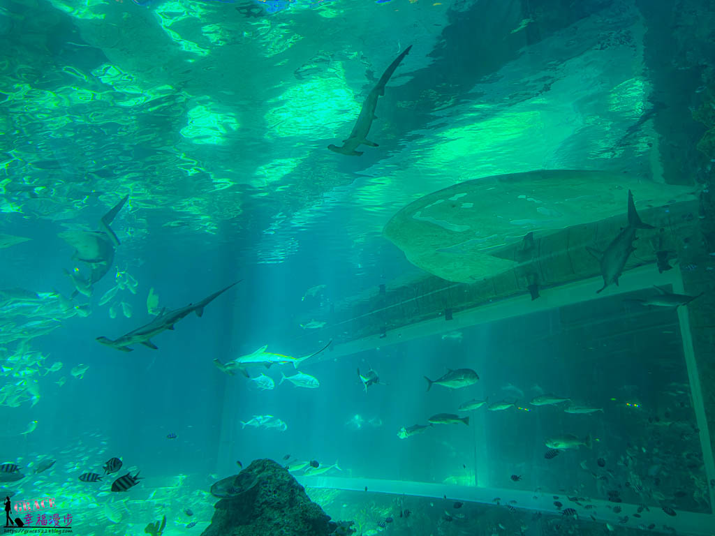 富國島珍珠遊樂園 富國島珍珠遊樂園