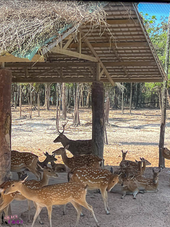 safari 富國島,富國島 親子,富國島 野生動物園,富國島動物園,富國島動物園接駁車,富國島動物園遊園車,富國島動物園餐廳,富國島旅遊,富國島旅遊推薦,富國島景點,富國島景點地圖,富國島景點推薦,富國島珍珠野生動物園,富國島珍珠野生動物園攻略,富國島的天氣,富國島行程,富國島野生動物園,富國島野生動物園遊園車,富國島野生動物園餐廳,珍珠動物園,珍珠野生動物園,珍珠野生動物園地圖,珍珠野生動物園遊園車,珍珠野生動物園餐廳,長頸鹿餐廳 safari 富國島,富國島 親子,富國島 野生動物園,富國島動物園,富國島動物園接駁車,富國島動物園遊園車,富國島動物園餐廳,富國島旅遊,富國島旅遊推薦,富國島景點,富國島景點地圖,富國島景點推薦,富國島珍珠野生動物園,富國島珍珠野生動物園攻略,富國島的天氣,富國島行程,富國島野生動物園,富國島野生動物園遊園車,富國島野生動物園餐廳,珍珠動物園,珍珠野生動物園,珍珠野生動物園地圖,珍珠野生動物園遊園車,珍珠野生動物園餐廳,長頸鹿餐廳