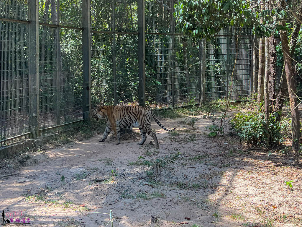 safari 富國島,富國島 親子,富國島 野生動物園,富國島動物園,富國島動物園接駁車,富國島動物園遊園車,富國島動物園餐廳,富國島旅遊,富國島旅遊推薦,富國島景點,富國島景點地圖,富國島景點推薦,富國島珍珠野生動物園,富國島珍珠野生動物園攻略,富國島的天氣,富國島行程,富國島野生動物園,富國島野生動物園遊園車,富國島野生動物園餐廳,珍珠動物園,珍珠野生動物園,珍珠野生動物園地圖,珍珠野生動物園遊園車,珍珠野生動物園餐廳,長頸鹿餐廳 safari 富國島,富國島 親子,富國島 野生動物園,富國島動物園,富國島動物園接駁車,富國島動物園遊園車,富國島動物園餐廳,富國島旅遊,富國島旅遊推薦,富國島景點,富國島景點地圖,富國島景點推薦,富國島珍珠野生動物園,富國島珍珠野生動物園攻略,富國島的天氣,富國島行程,富國島野生動物園,富國島野生動物園遊園車,富國島野生動物園餐廳,珍珠動物園,珍珠野生動物園,珍珠野生動物園地圖,珍珠野生動物園遊園車,珍珠野生動物園餐廳,長頸鹿餐廳