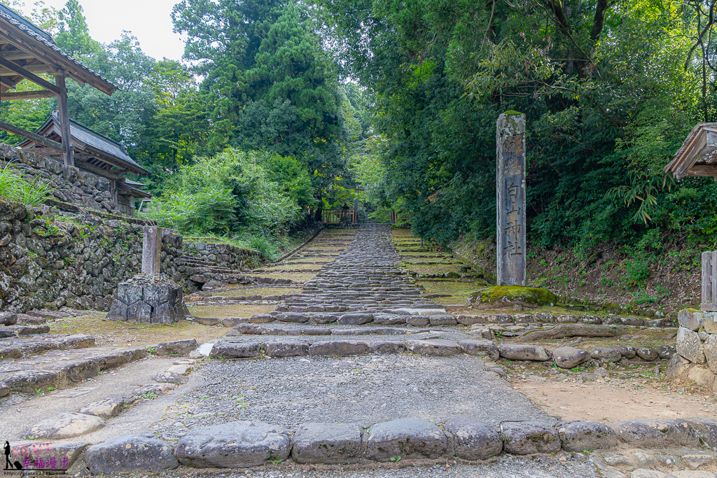 福井四天三夜懶人包 ，福井旅遊