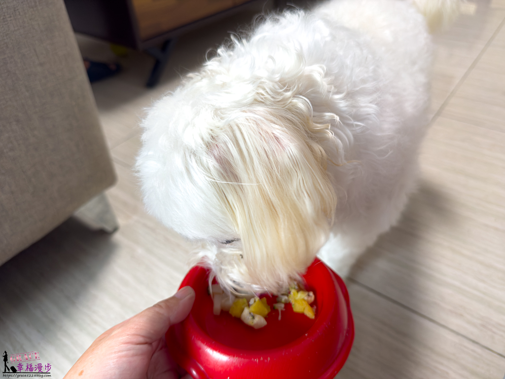 愛毛客寵物咖啡廳