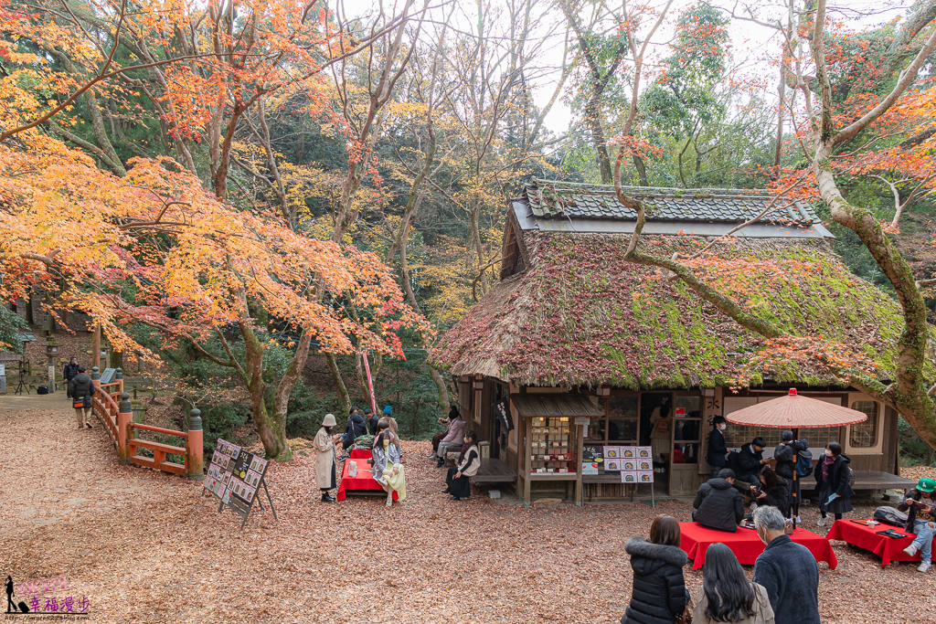 奈良公園