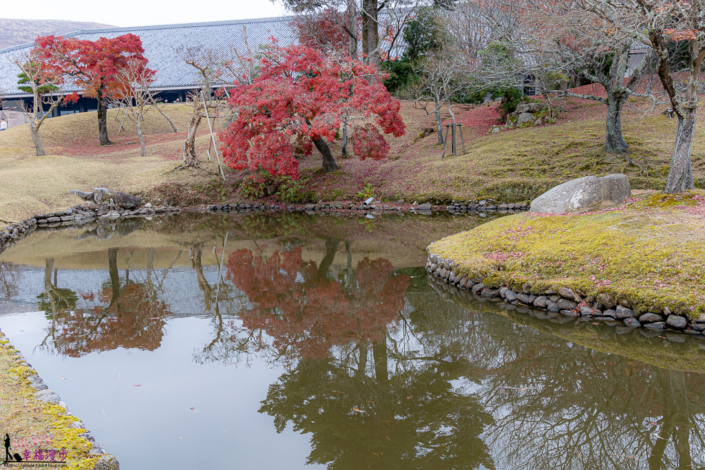 奈良公園