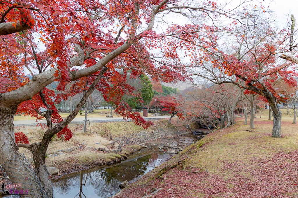 奈良公園