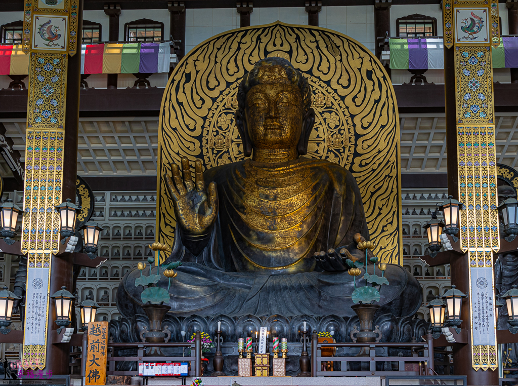 福井四天三夜懶人包