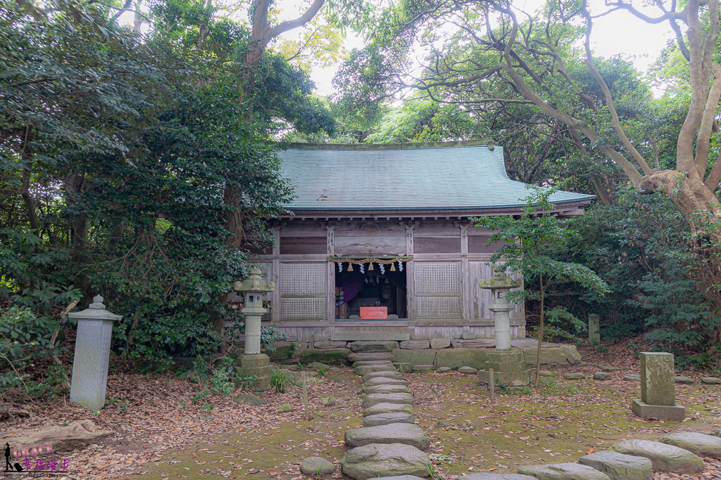 福井四天三夜懶人包