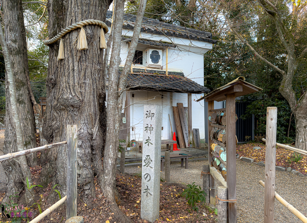 Coffe Base NASHINOKI,京都Coffe Base NASHINOKI,京都咖啡店,京都咖啡店推薦,京都梨木神社,京都神社咖啡廳,梨木神社
