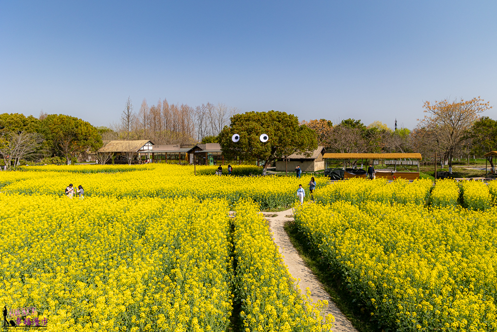 上海景點,大陸江南景點,大陸江南行程規劃,杭州景點,江南景點推薦,烏鎮景點,蘇州.烏鎮.杭州.上海九日行程懶人包,蘇州景點