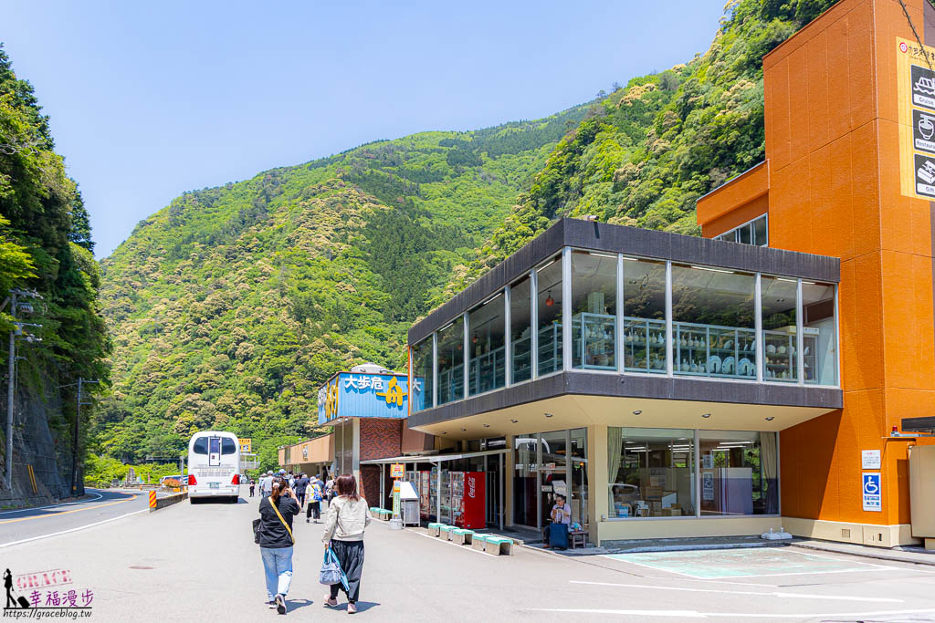 大步危小步危峽谷