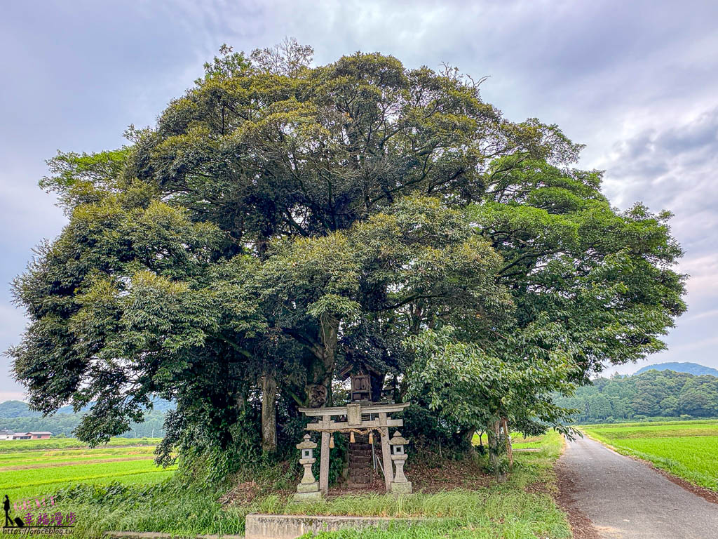 鳥取自駕旅行懶人包