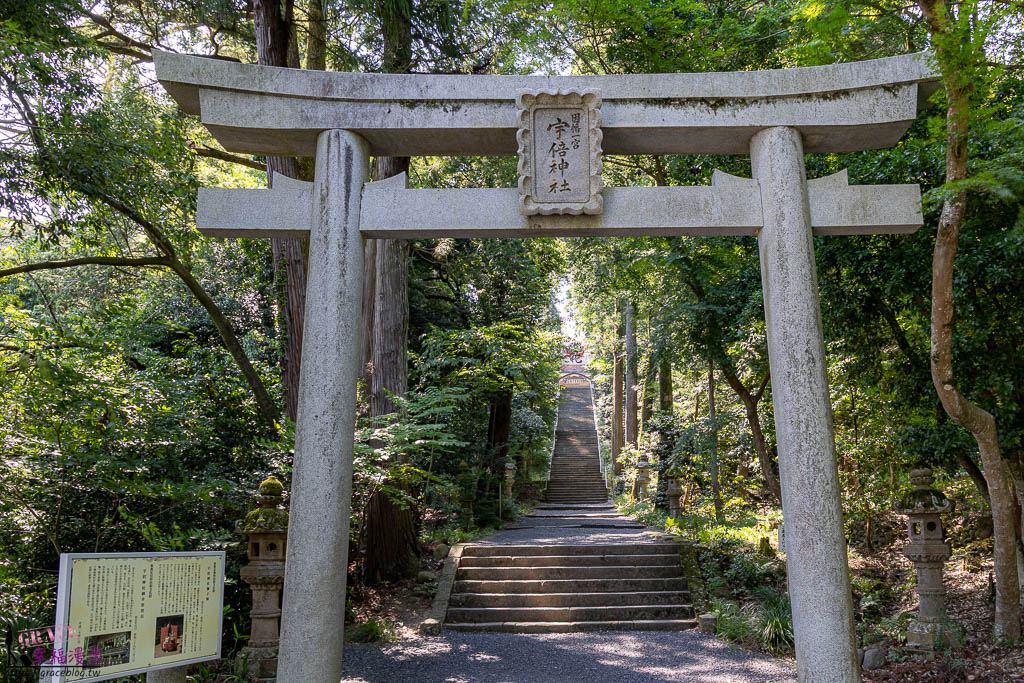 8天7夜,懶人包,日本山陰,米子機場,自由行,虎航直飛,鳥取旅行,鳥取景點,鳥取景點推薦,鳥取溫泉,鳥取美食,鳥取自由行,鳥取自駕,鳥取自駕旅行懶人包,鳥取自駕遊