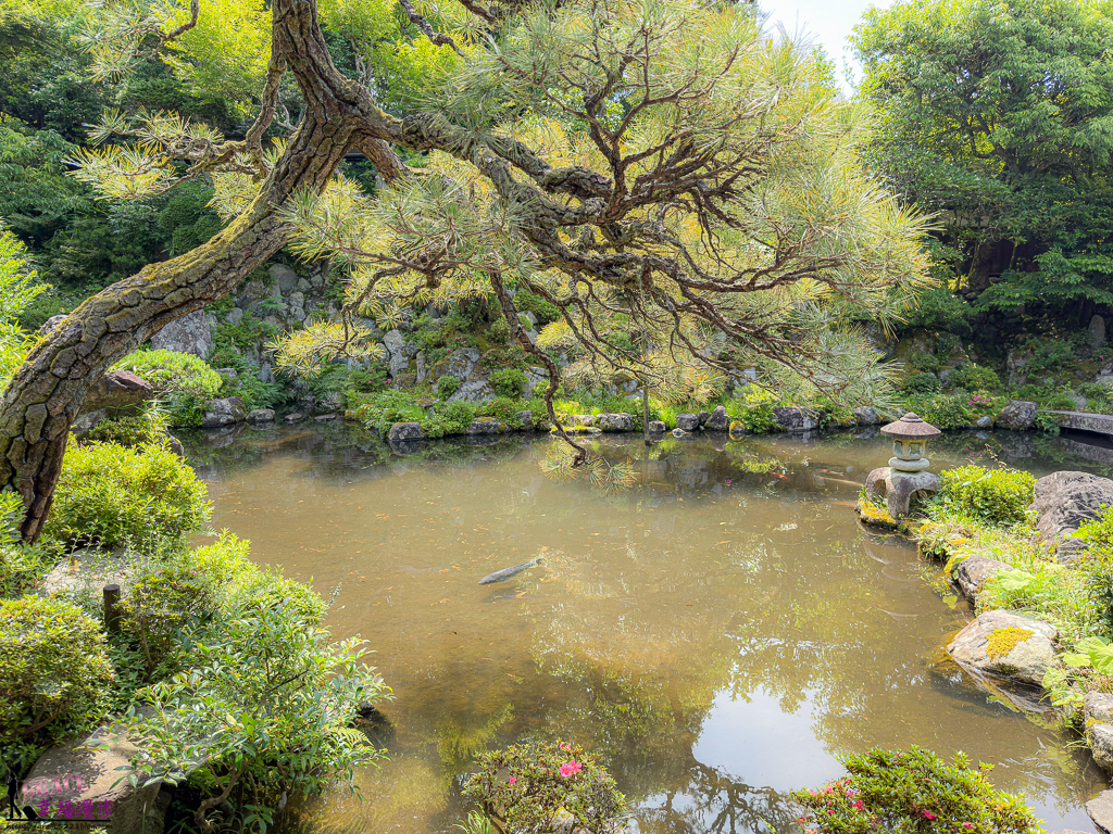 日式庭園,日本遺產,智頭町,石谷家住宅,鳥取景點,鳥取景點推薦