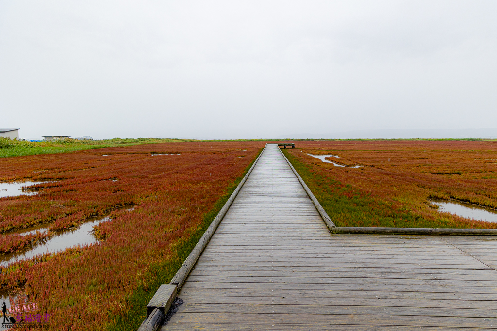 北海道自駕十日遊懶人包