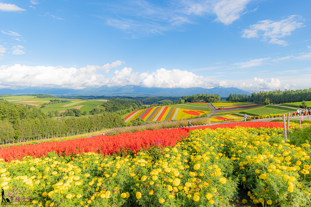 北海道自駕十日遊懶人包