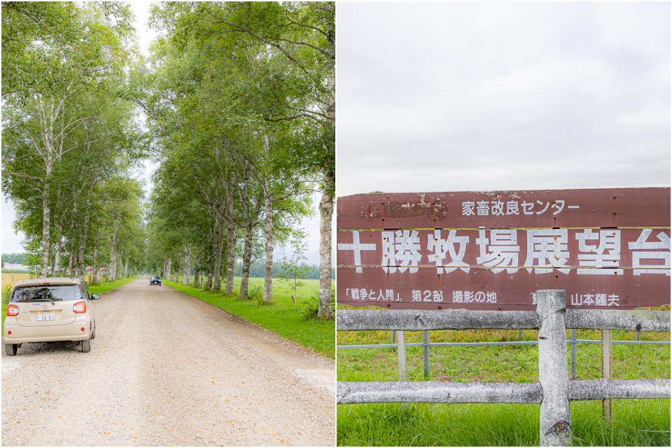 北海道10日遊,北海道住宿,北海道懶人包,北海道攻略,北海道景點,北海道美食,北海道自由行,北海道自駕,北海道自駕旅行,北海道自駕旅行懶人包,北海道行程,租車推薦,道央自駕,道東自駕
