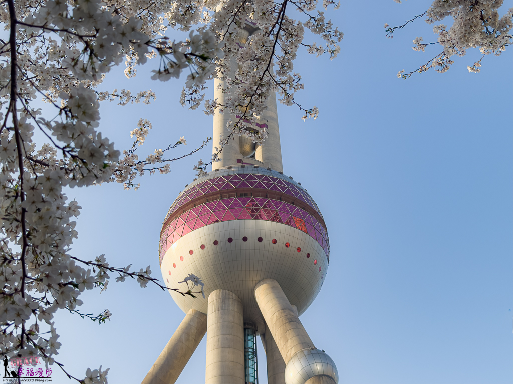 上海旅遊,上海景點推薦,上海東方明珠塔,上海賞櫻,上海賞櫻景點,東方明珠塔