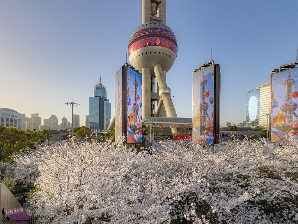上海旅遊,上海景點推薦,上海東方明珠塔,上海賞櫻,上海賞櫻景點,東方明珠塔