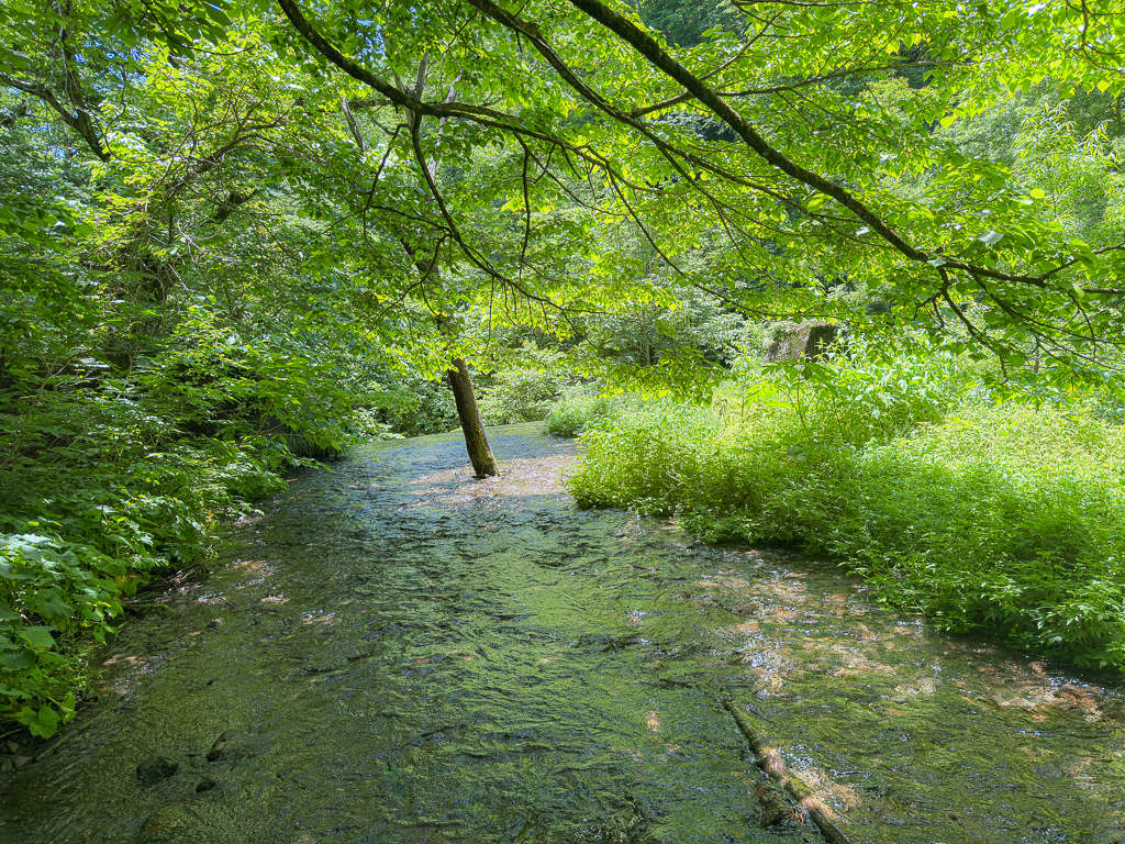 木谷沢溪流