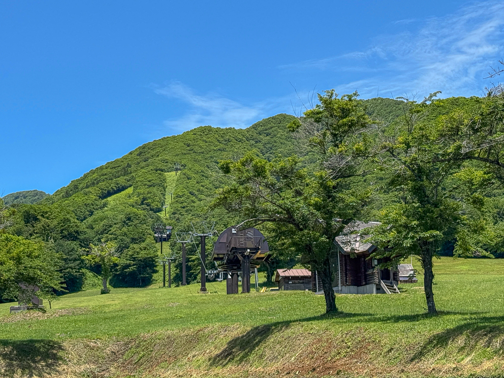 木谷沢溪流